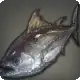 Bloodfresh Tuna icon