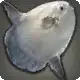 Sunfish icon