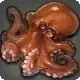 Gigant Octopus icon
