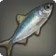 Glass Herring icon