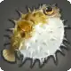 Bomb Puffer icon