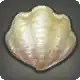 Pecten icon