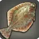 Deep Plaice icon