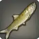 Fullmoon Sardine icon