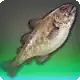 Sabertooth Cod icon