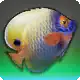 Heavenskey icon