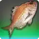 The Greatest Bream in the World icon