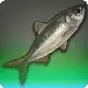 Dirty Herry icon