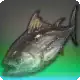 Gory Tuna icon