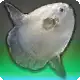 Shipwreck's Sail icon