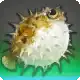 Pearl Bombfish icon