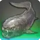 Coccosteus icon