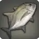 Ronin Trevally icon