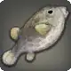 Metallic Boxfish icon