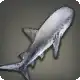 Tawny Wench Shark icon