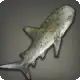 Thavnairian Shark icon