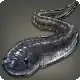 Blackfin Snake Eel icon