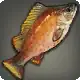 Zekki Grouper icon