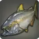 Amberjack icon
