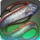 Little Leviathan icon