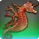 Coral Seadragon icon