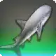 Seven Stars icon