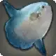 Hoodwinker icon