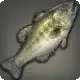 Niikwerepi Bass icon