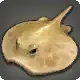 Monke Onke icon