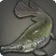Alligator Garfish icon