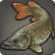Northern Pike icon