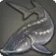 Emperor Fish icon