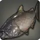 Takitaro icon