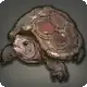 Grade 4 Skybuilders' Tortoise icon