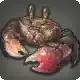 River Crab icon