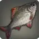 Agelyss Carp icon