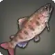 Doman Trout icon