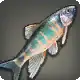 Chub icon