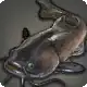 Chakrafish icon