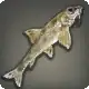 Gravel Gudgeon icon