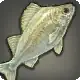 Glass Perch icon