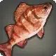 Illuminati Perch icon