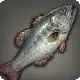 Giant Bass icon