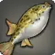Coerthan Puffer icon