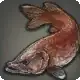 Angry Pike icon