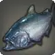 Velodyna Salmon icon