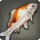 Tricolored Carp icon