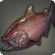 Bronze Lake Trout icon