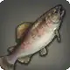 Princess Trout icon