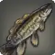 Bowfin icon
